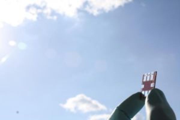 Organic Solar Cells
