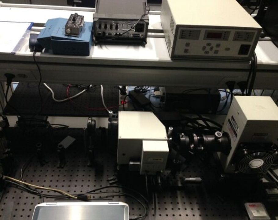External Quantum Efficiency (EQE)